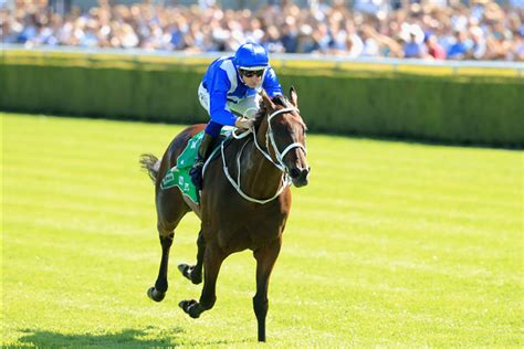 winx warwick stakes form|Winx Stakes 2024 .